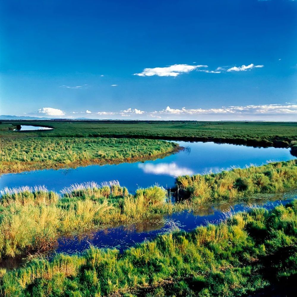 【迎旅盟·展新貌】坐标双鸭山!湿地如画