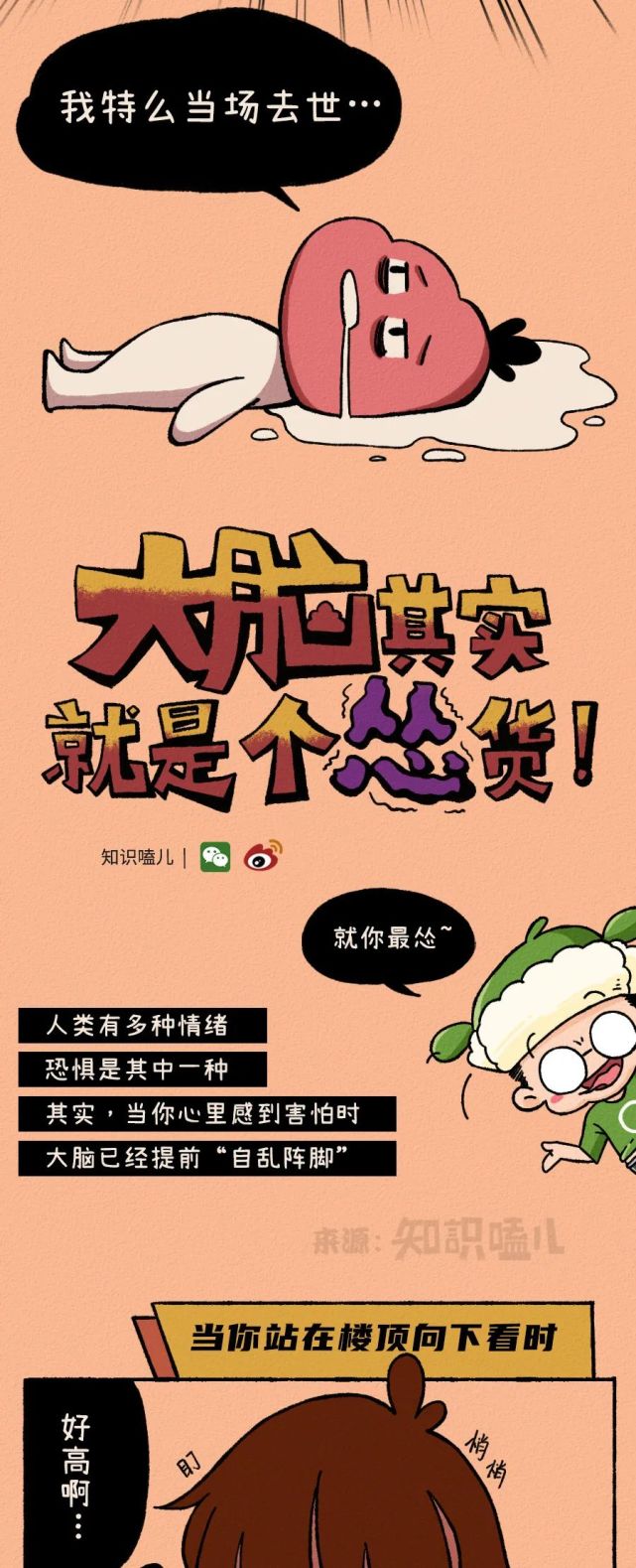 你的大脑其实是个怂货