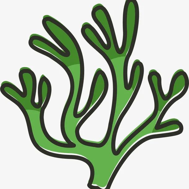 我们从未与黄某有任何合约,海洋公司欠付的广告费为海草公司所有,他人