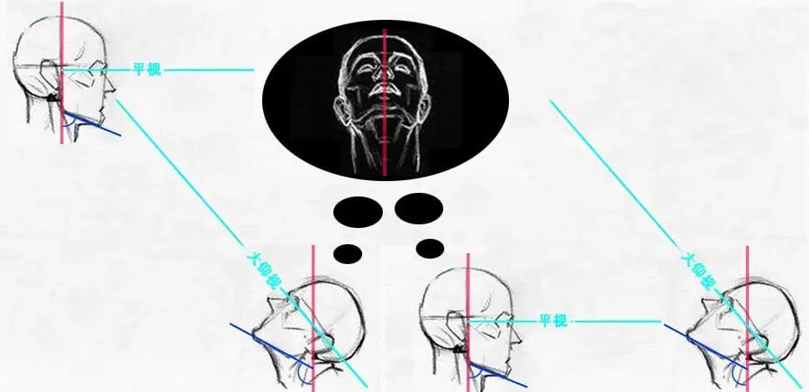 人用仰视角度看身居高位之人的脸,与从平视角度看一个仰头的人脸,看到