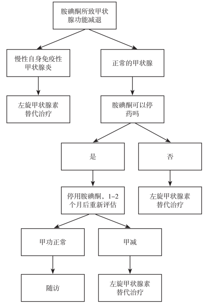 图2 胺碘酮导致甲状腺功能减退治疗流程图图3 胺碘酮导致甲状腺功能