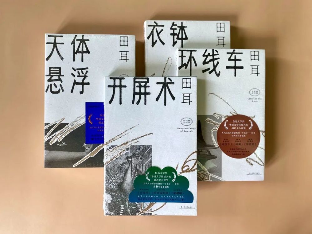专访|田耳《开屏术:用虚构接近真实