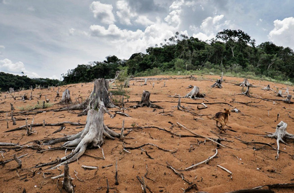 全球气候问题严峻澳大利亚想甩锅中国我国的贡献有目共睹