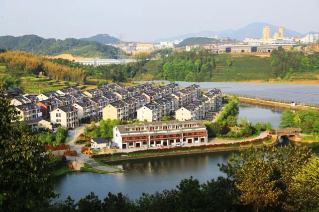 老家磐安|舞龙故乡,茶镇玉山,奋力谱写高质量发展新篇章