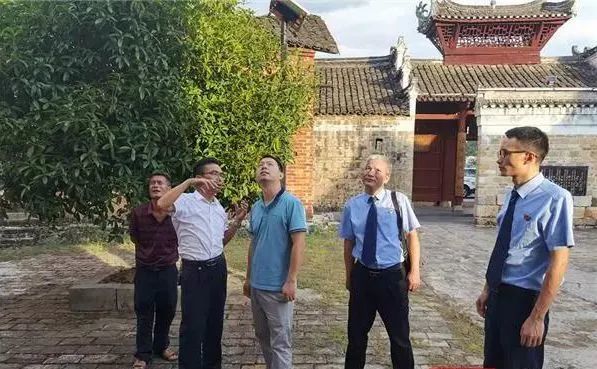 在新田县石羊镇传统村落—夏源村,县文旅广体局工作人员对前来回访