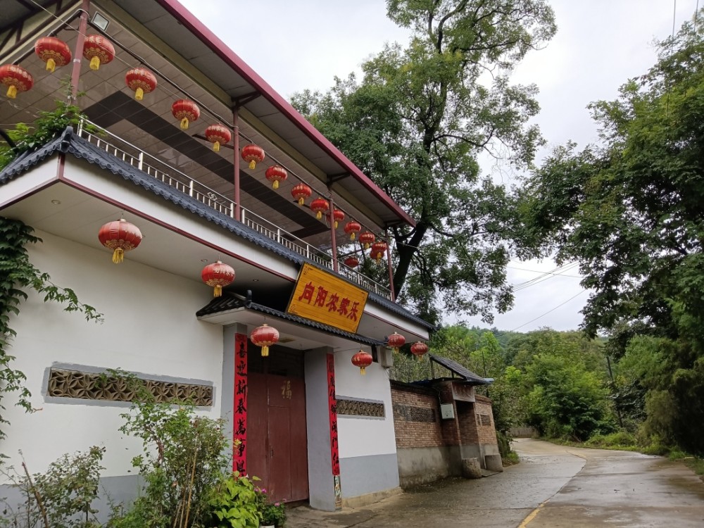 西安附近的宁静小村有农家乐和民宿土鸡是特色适合周末隐居