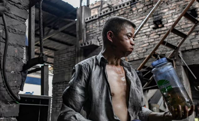 未来5到10年,农民如果不外出打工,回农村能干点啥?4条出路可选