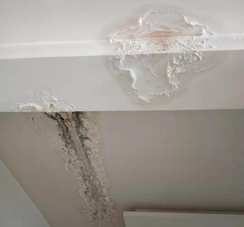 宝鸡这小区楼顶漏水泡烂住户墙面白灰掉落一地