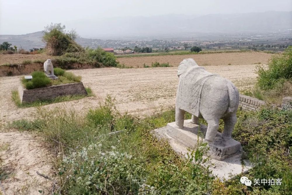 蒲城縣溝南村:尋訪唐景陵北門(玄武門)遺址