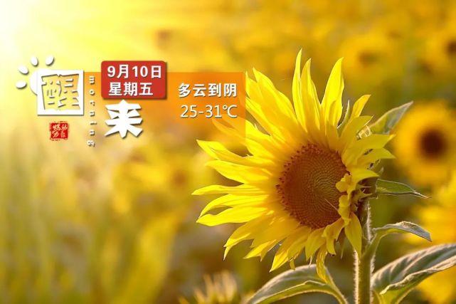 帮我把短信放到桌面上