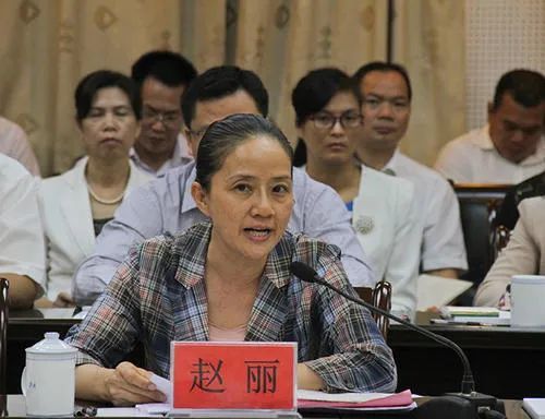 赵丽是广西培养的壮族女干部,曾在龙州县当县长4年,担任大新县县委