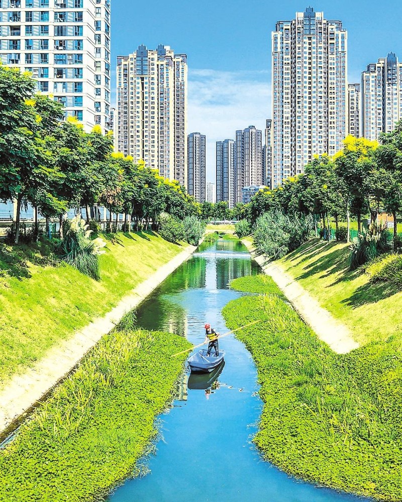 武汉塔子湖明渠水质达优良水平_腾讯新闻