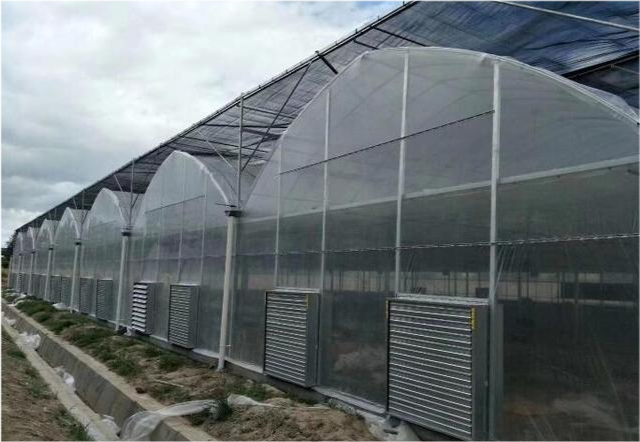 温室大棚夏季应如何做好遮阳降温?_腾讯新闻
