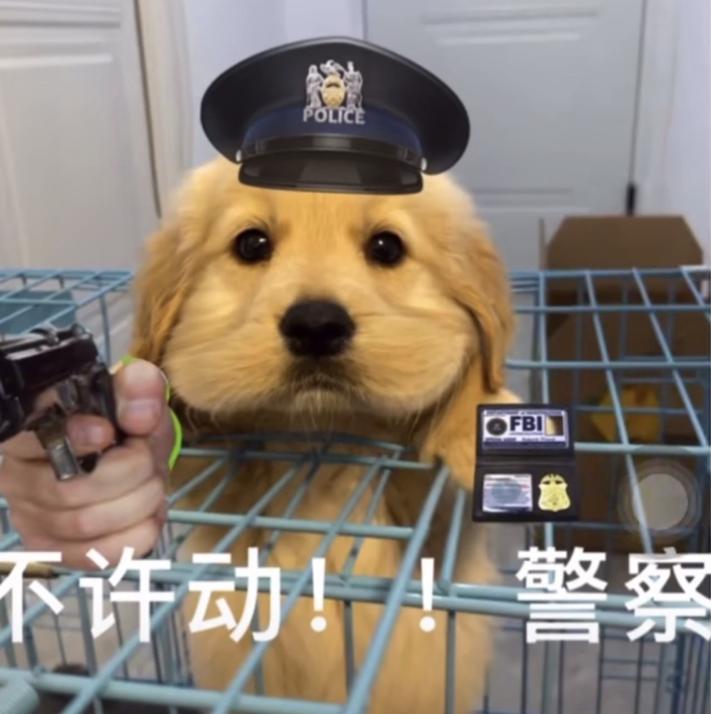 爆笑工作趣事如果我有罪请让法律来制裁我