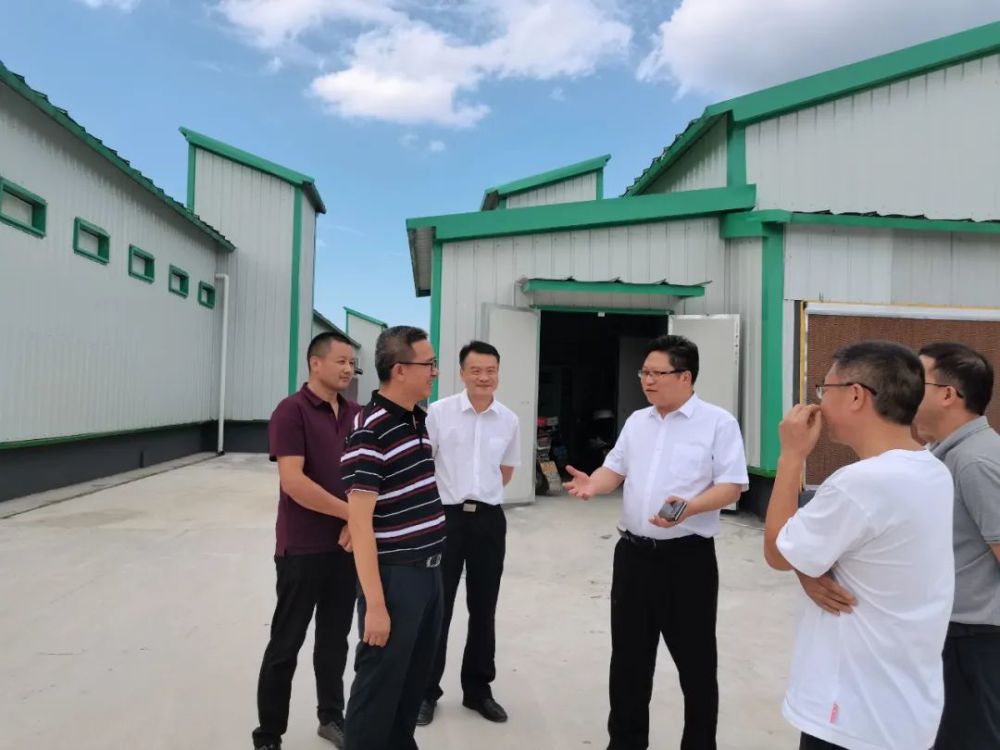 在参观了兴绿洲两大产业基地之后,周代军强调,企业要