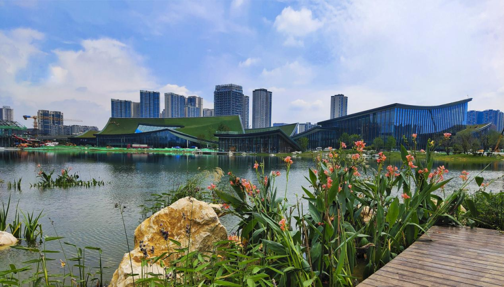 围绕三个全生命周期成都市金牛区营商环境下足绣花功夫