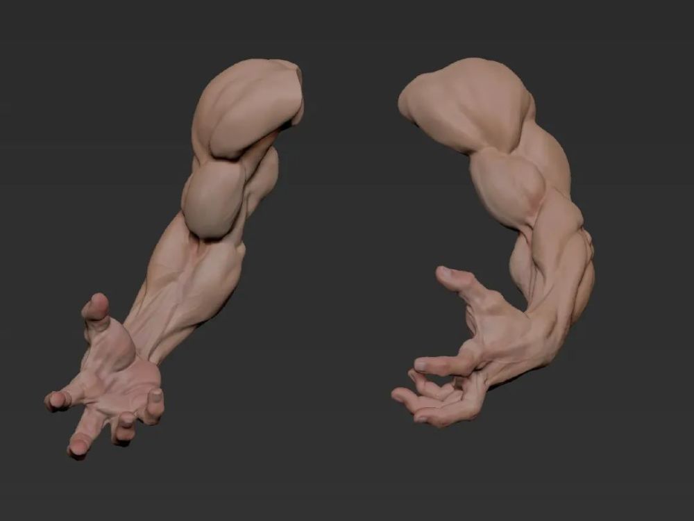【绘画素材】肌肉与力量美!来一波大佬的"3d手臂建模"参考