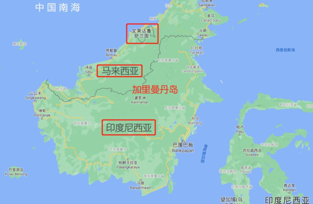 消失125年巴拉旺角鸮重现婆罗洲灭绝物种也能出现吗