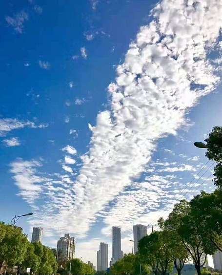 河南鄭州出現怪狀魚鱗雲市民表示擔憂這是天災的預兆