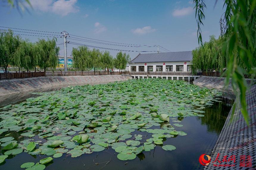 河北丰南:昔日"废坑塘" 今朝"小游园"