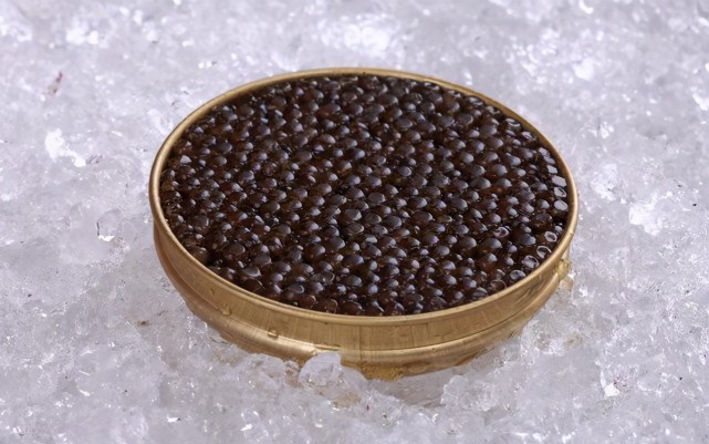 氏鳇本身也是非常珍贵的品种,达氏鳇鱼子酱的价格是一般人望其项背的