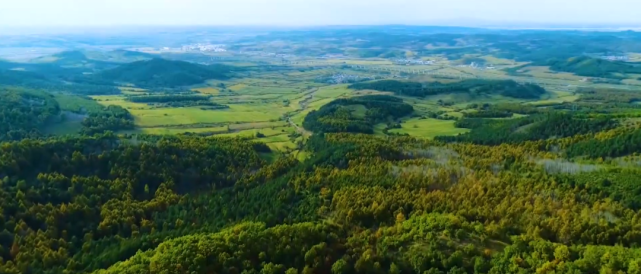 《爱上这座城》:走进"美丽宜居的世外桃源" 宾县