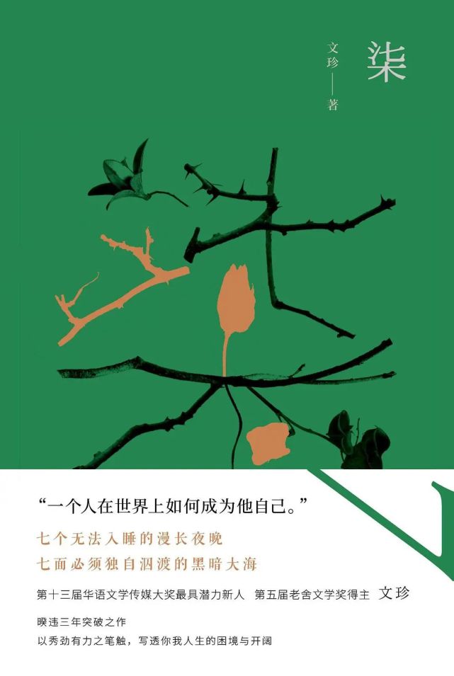 文珍:进入更丰富有趣,也可能更驳杂的写作中去|访谈