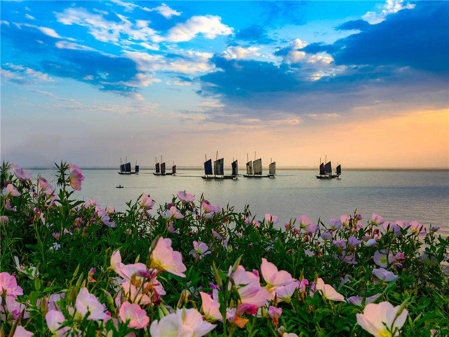 【今天我朗读】走近高邮湖(作者:杨中,朗读者:赵华健)_腾讯新闻