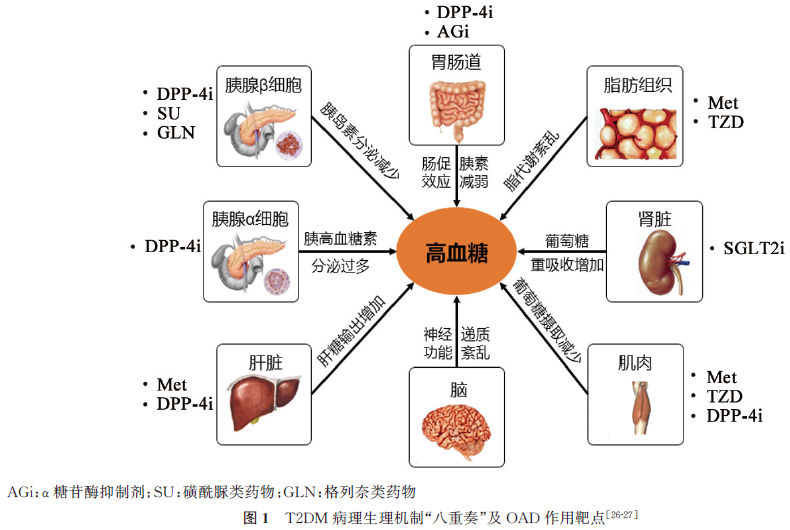 成人2型糖尿病患者口服降糖藥物三聯優化方案中國專家共識發佈