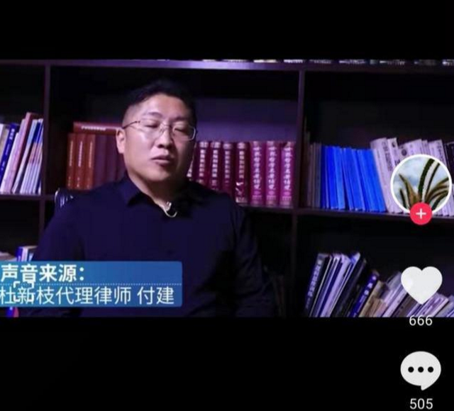 杜新枝代理律师露面网友比马洪涛律师更无赖许妈小心了