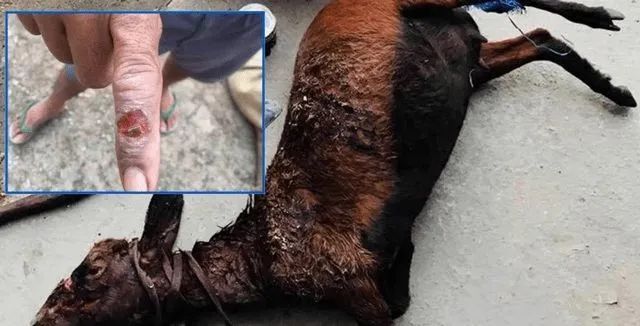 病死牲畜肉拿到市场上出售或给周围亲戚朋友分食,增加了炭疽传播的