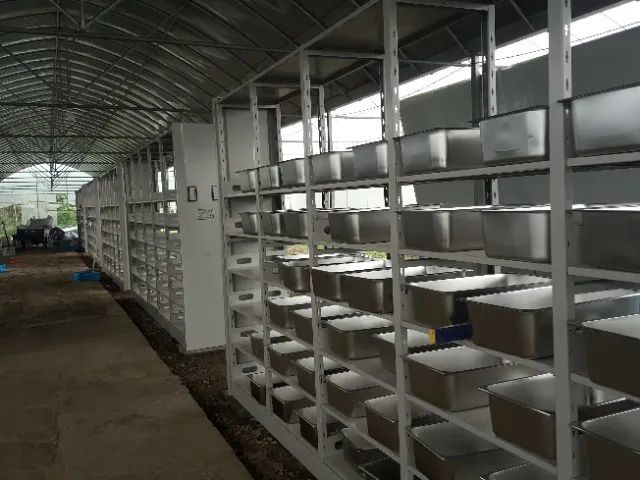 你错了,黑水虻不再是亿万产业,克迈拉黑水虻布局万亿蓝图,智能化养殖