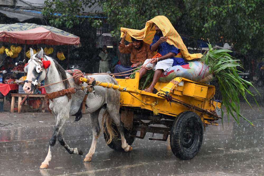 9月3日,在印度阿姆利则,人们乘马车在雨中前行.