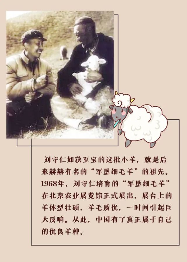 兵团故事当祖国需要我们的时候