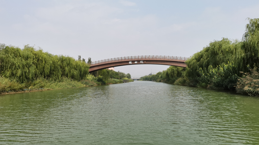 霸州全市道路绿化率达94共创省级森林城市