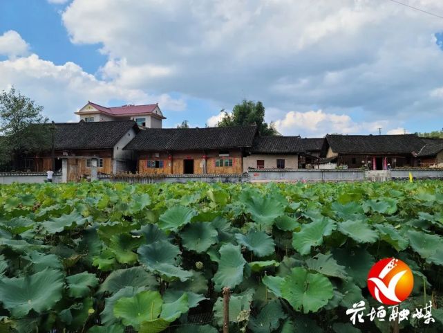 石栏镇大兴村以庭院小美助推人居环境大美