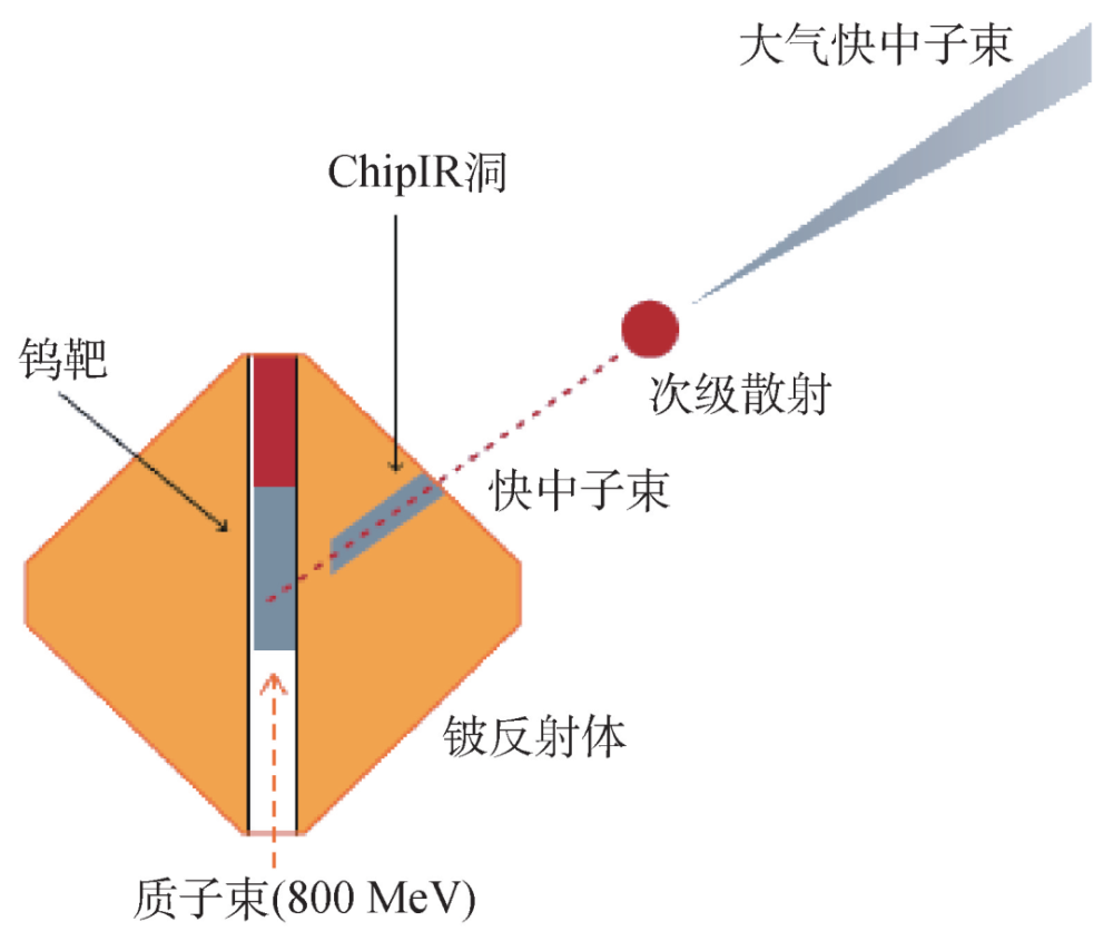图1 大气中子束生成器件(chipir)示意图.