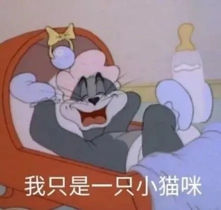 表情包|对金钱的渴望