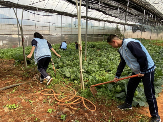 致富经养鱼一年多赚1000万_致富经养鱼视频大全集_致富经养鱼