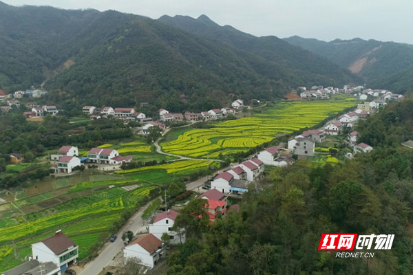 走进赫山看小康|碧云峰村:农旅巧融合 山村变成风光带