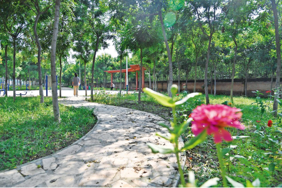 头村因地制宜,对原来的18亩平原造林地块进行改造提升,建造"口袋公园"