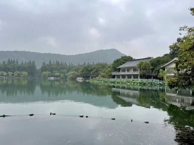 西湖·花港觀魚