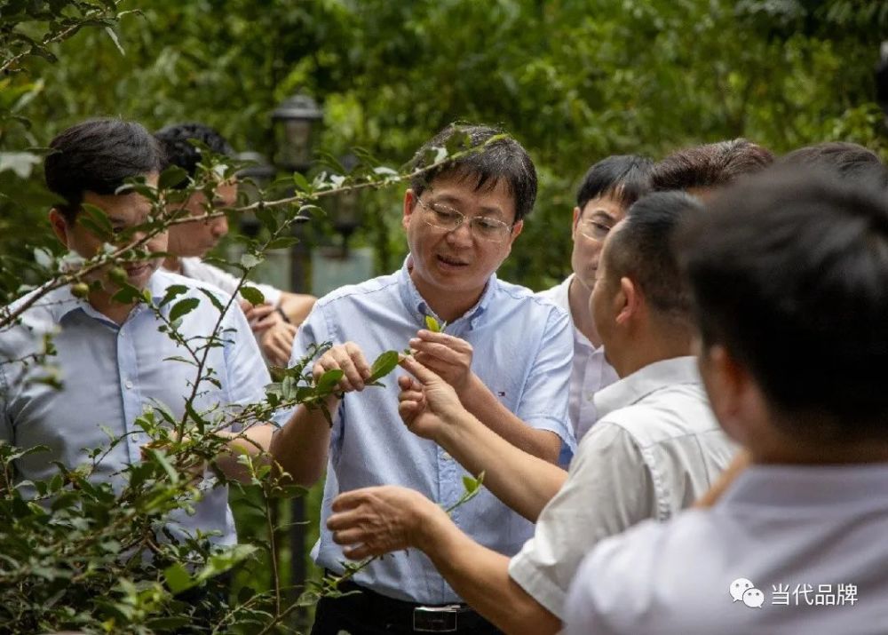 打造区域强势品牌建设茶业安溪样板访安溪县人民政府代县长刘永强