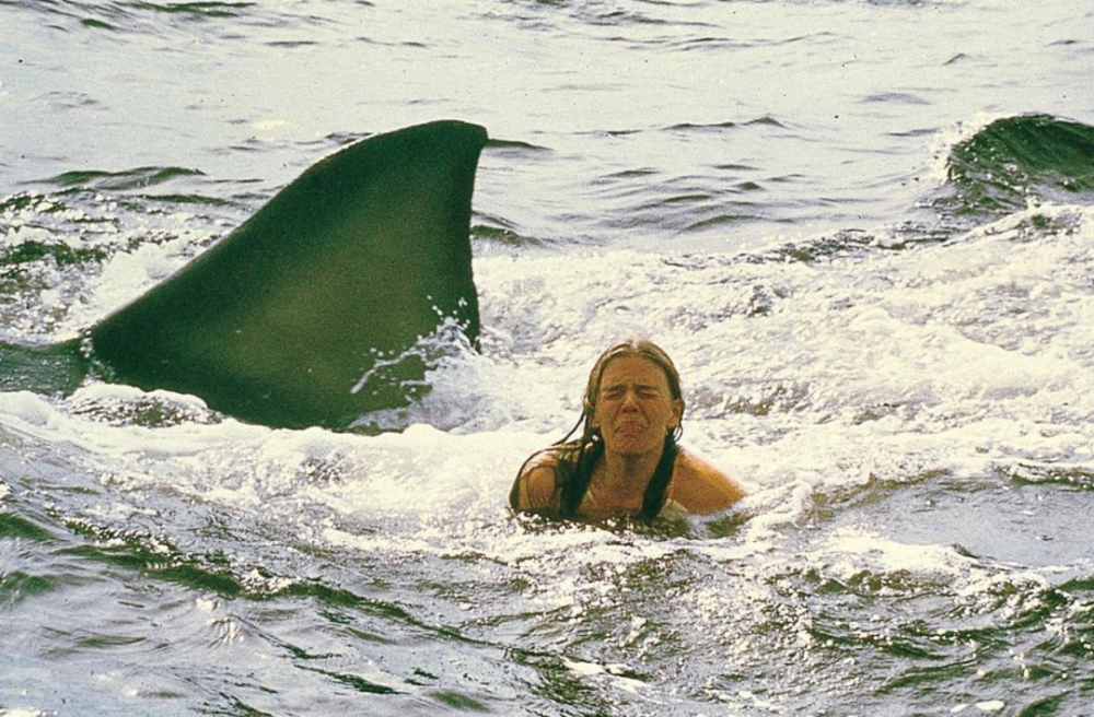 深海狂鲨电影完整观看免费加长版1080已完结蓝光已更新