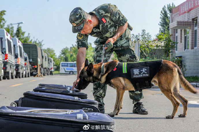 英孚英語中級20罕見事件警犬優秀滿目瘡痍18枚小學推算法