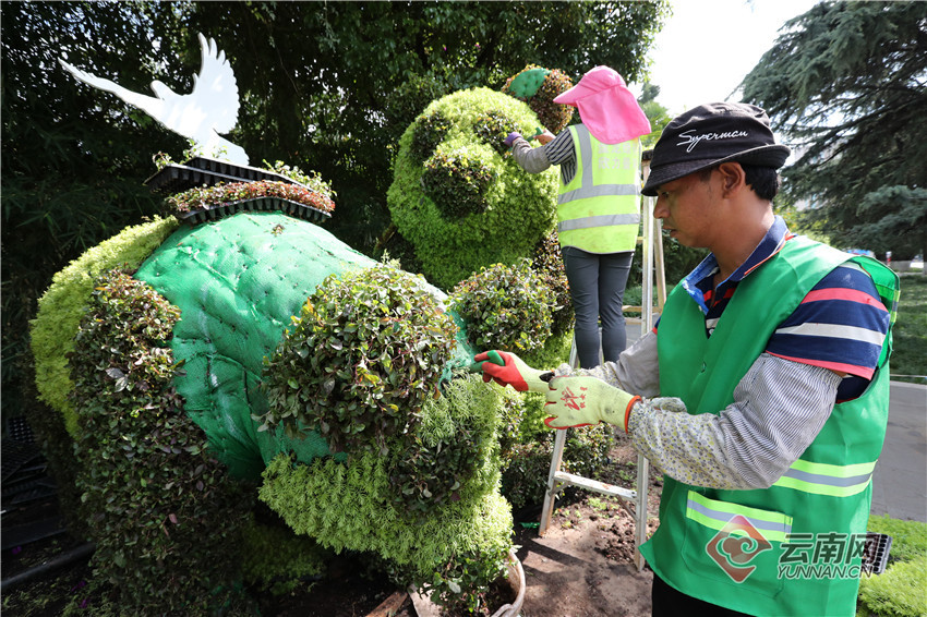cop15倒计时30天 昆明加紧筹备迎接盛会_腾讯新闻