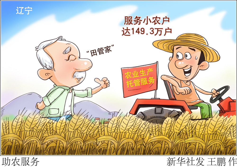 图表漫画经济助农服务