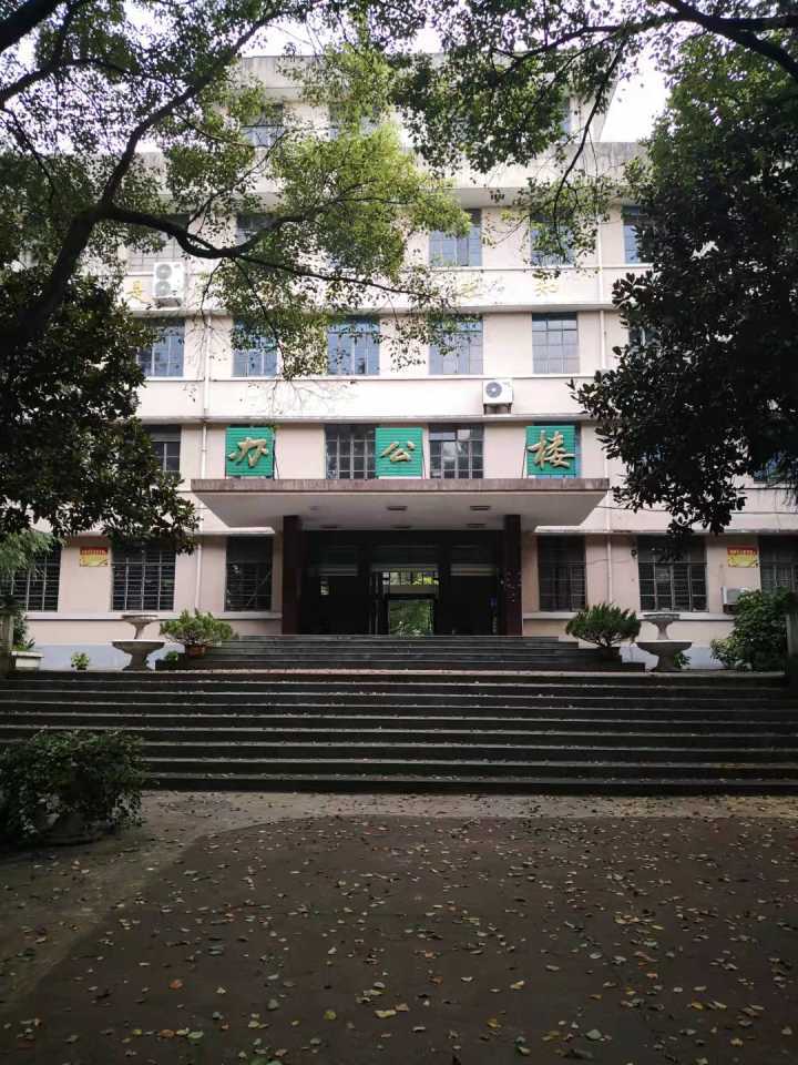 方正朴实的办公楼水泥砌的乒乓球台正因如此,兰溪二中成为《乔家的