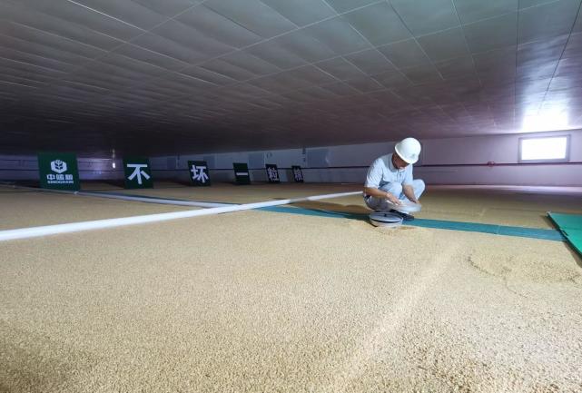 探秘大国粮仓中储粮深圳库高科技赋能筑牢粮食安全压舱石