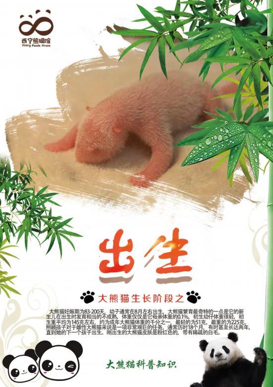 熊猫讲科普|全国科普日——践行绿色发展·助力生态文明